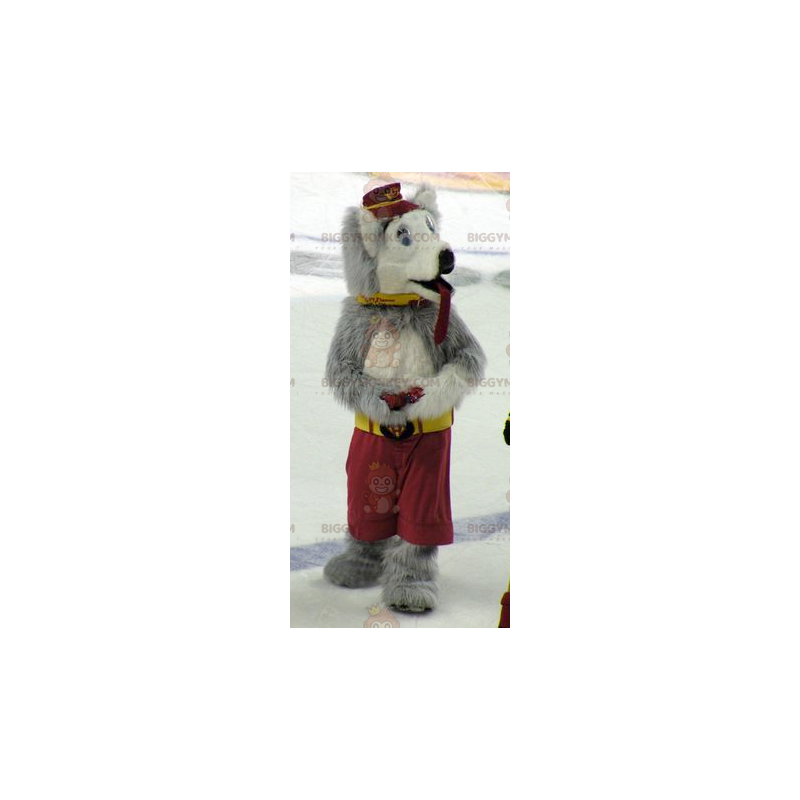 Grau-weißer Wolf Hund BIGGYMONKEY™ Maskottchen-Kostüm -