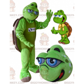 BIGGYMONKEY™ Disfraz de mascota tortuga marrón verde de ojos