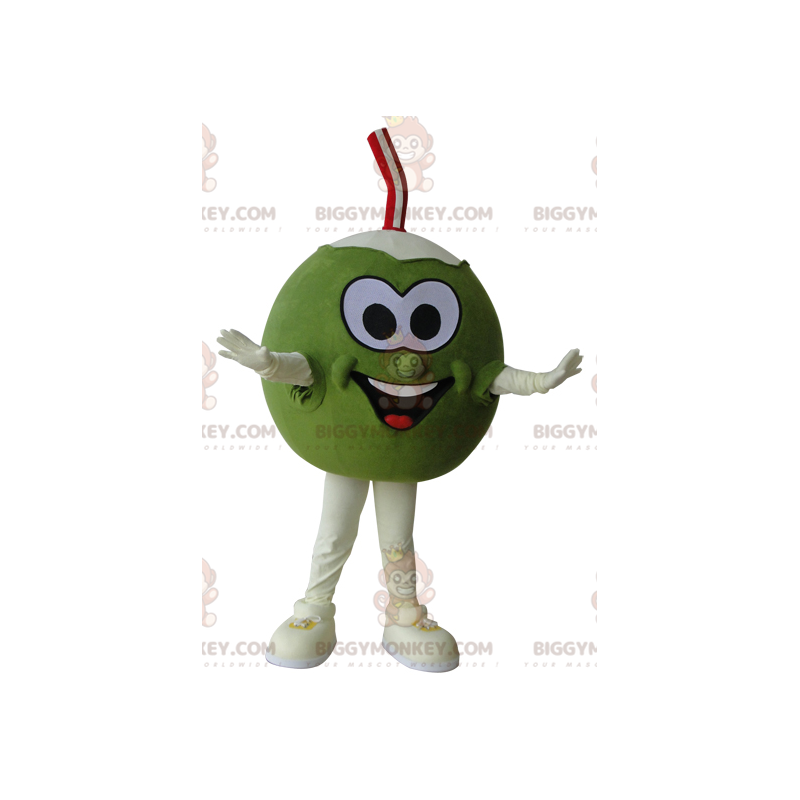 Costume de mascotte BIGGYMONKEY™ de noix de coco géante verte