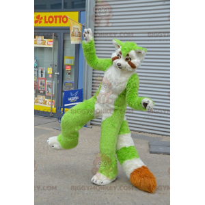 BIGGYMONKEY™ Grøn Hvid Orange Vaskebjørn Katte maskot kostume -