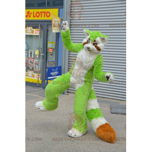 Traje de mascote gato guaxinim BIGGYMONKEY™ verde branco