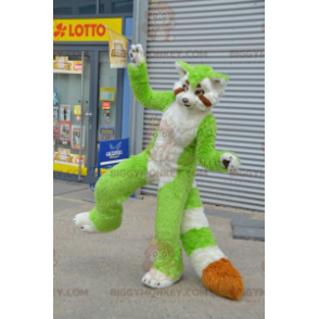 BIGGYMONKEY™ Grøn Hvid Orange Vaskebjørn Katte maskot kostume -