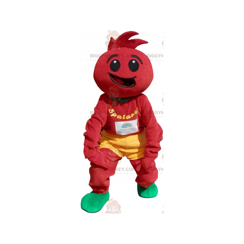 Costume de tomate. Déguisement de tomate - Biggymonkey.com