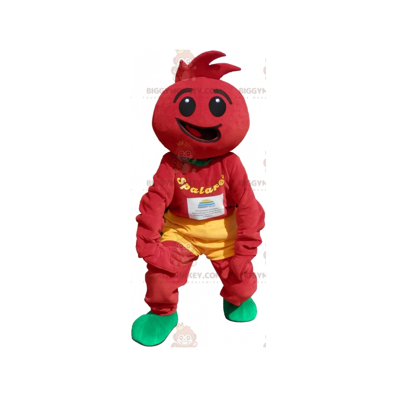 Tomat kostym. tomat kostym - BiggyMonkey maskot