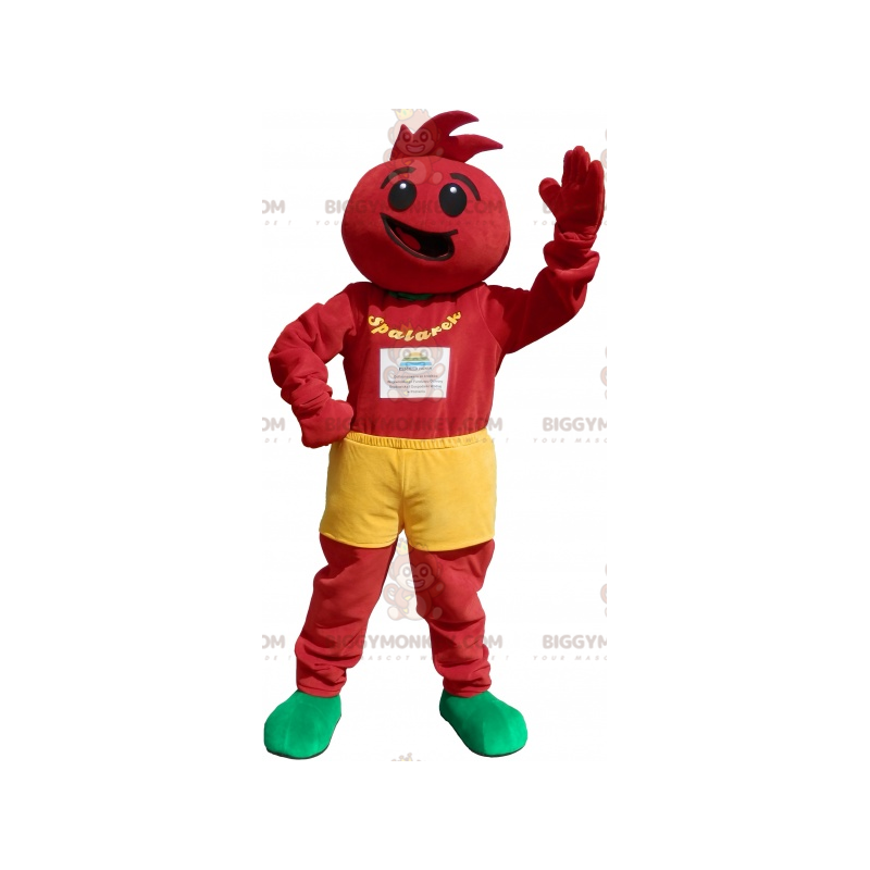 Tomato costume. tomato costume - Customisable Sizes L (175-180CM)