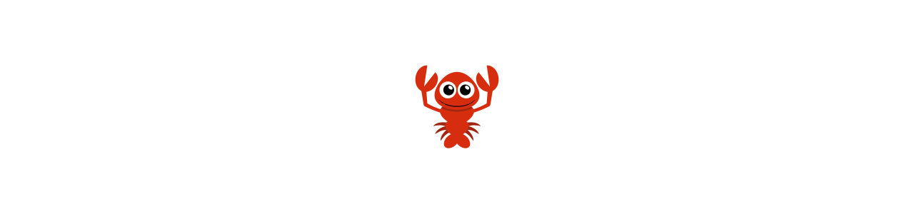 Mascotes de lagosta - Fantasias de mascote em biggymonkey.com 