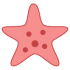 Mascotes de estrelas do mar